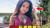老虎与大象搏斗的视频-老虎与大象，自然界的奇观对决